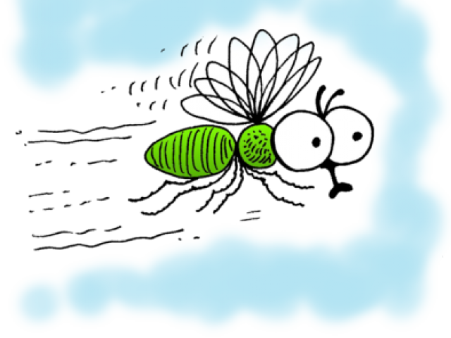 Regular And Irregular Verbs (640x480), Png Download