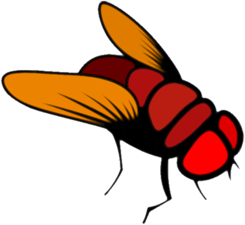 Fly - Fruit Fly Cartoon (549x549), Png Download