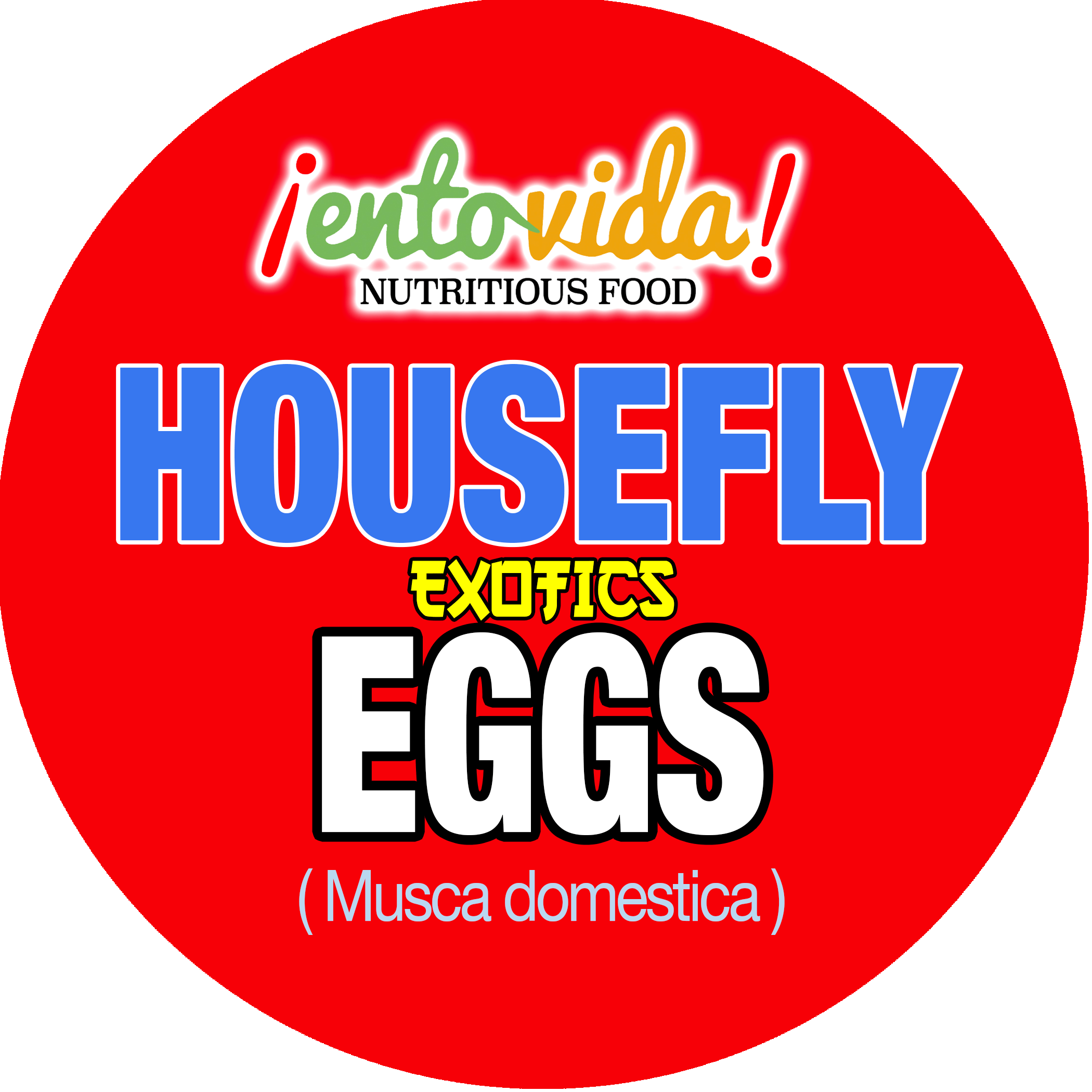 Edible Housefly Eggs - Eggnog Murder: A Frosted Love Cozy Mystery - Book 23 (2100x2100), Png Download