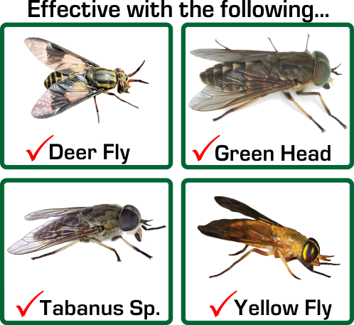 Effective For The Following - Horse Fly Vs Deer Fly (498x457), Png Download
