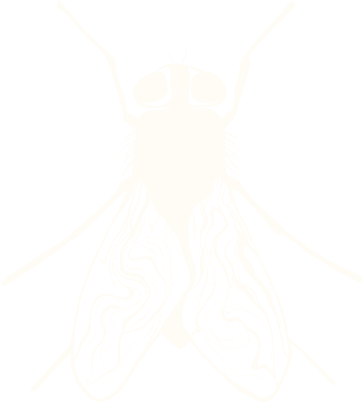 Mosca Grande Trasparente - Housefly (1399x1398), Png Download
