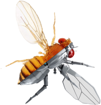 2018 Qbio Summer Course - Course (375x393), Png Download