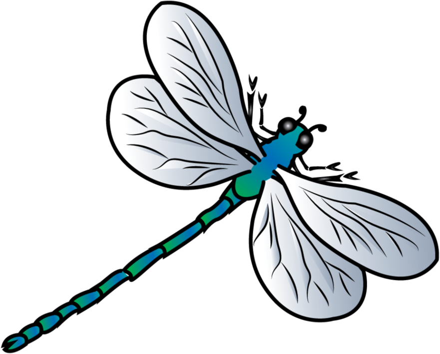 Dragonfly Background Png - Clip Art (973x822), Png Download