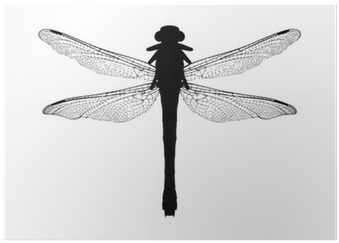 Silhouette (400x400), Png Download