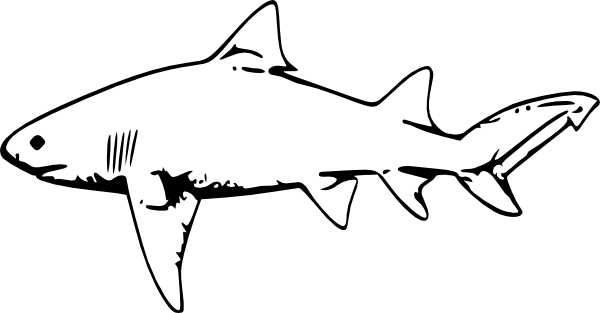 Lemon Shark Clipart 3 By Heidi - Lemon Shark Drawing (600x313), Png Download