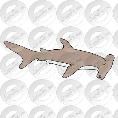 Hammerhead Shark Clipart Transparent Background - Smalleye Hammerhead (380x380), Png Download