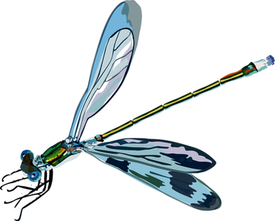 Dragonflies Clip Art - Bugs And Butterflies (400x322), Png Download