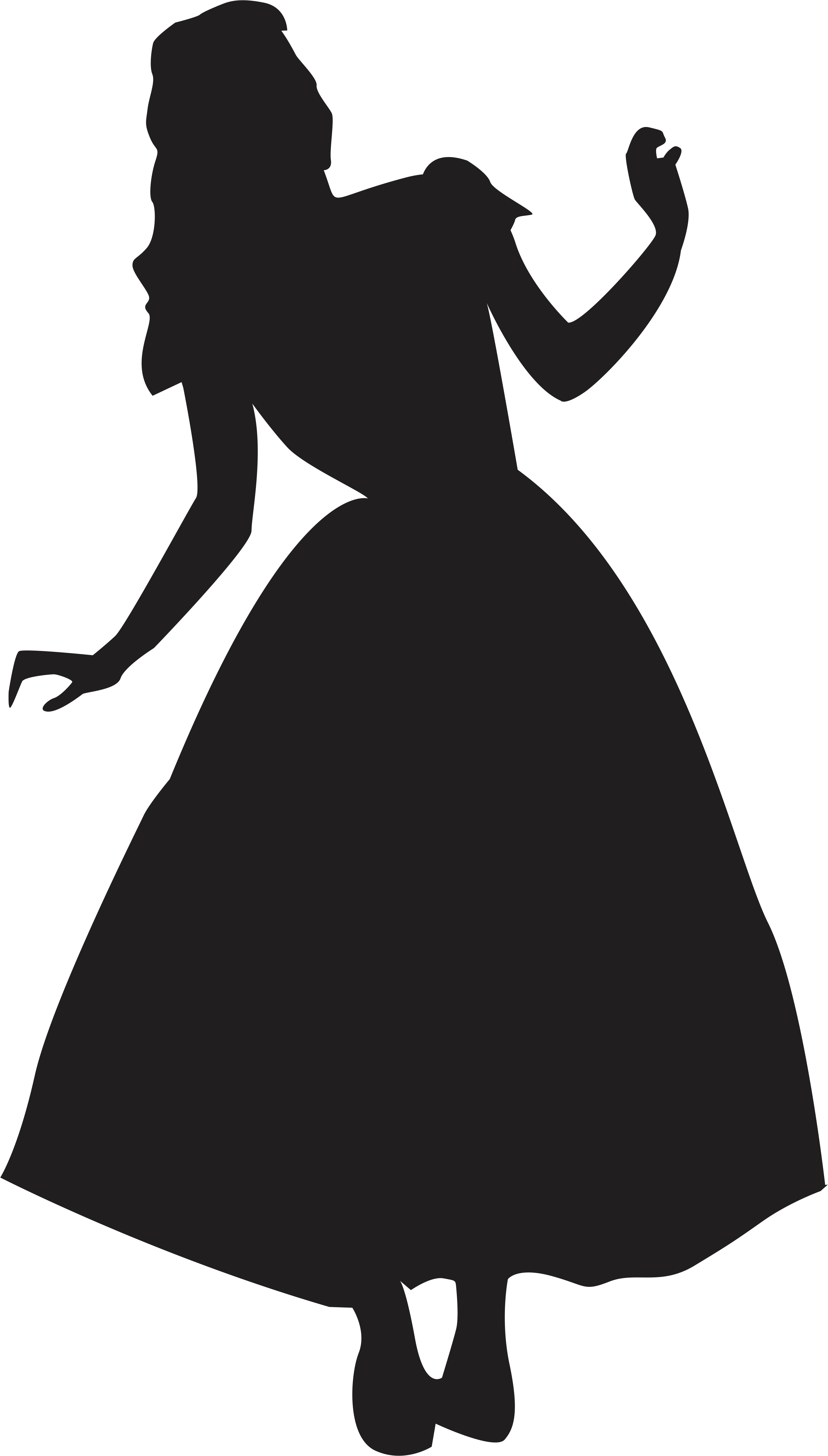 Printwallart Fairytale Princess Png Princess Png Fairy - Fairytale Princess Silhouette (2688x4726), Png Download