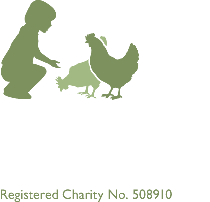 Whirlow Hall Farm - Whirlow Hall Farm Trust (427x410), Png Download