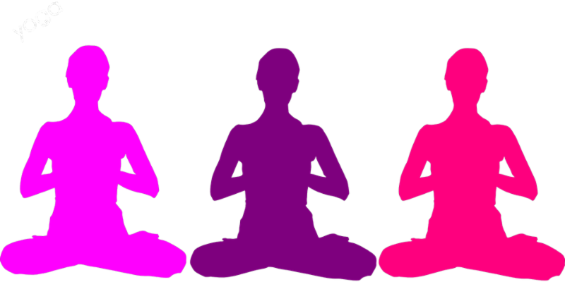 Tree Of Life Yoga - Mindfulness Clipart (800x400), Png Download