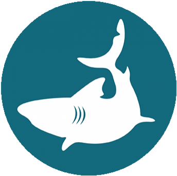 Tiger Shark (580x399), Png Download