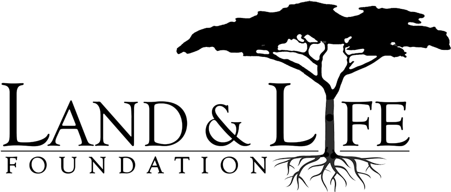 2017 Mara North Conservancy All Rights Reserved - Life Savors For Women [book] (1000x441), Png Download