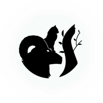 Icon - Black Desert Online (360x360), Png Download