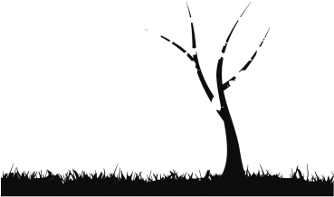 Bring Your Wall To Life Without Having To Paint It - Silhouette (400x300), Png Download