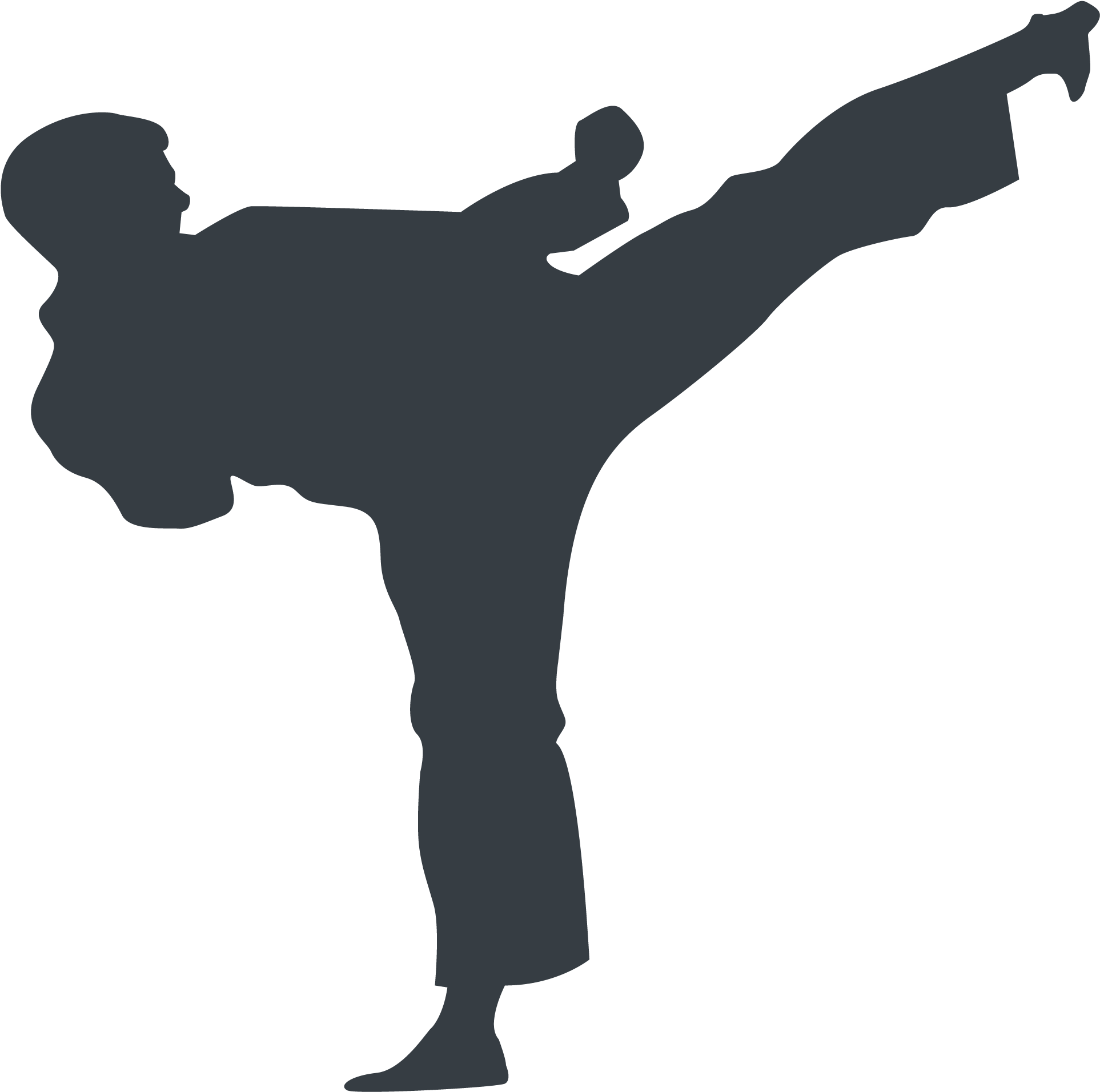 Athlete Silhouette - Karate Kicker Pillow Case (2271x2021), Png Download