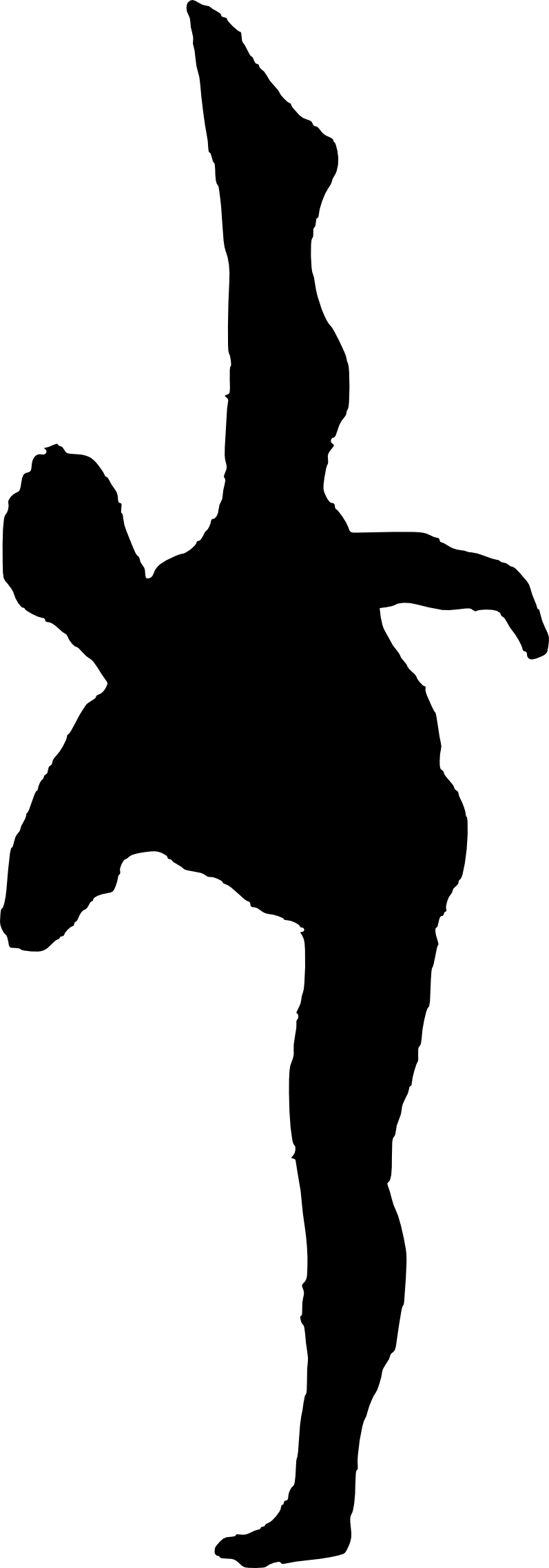 Free Download - Portable Network Graphics (797x2277), Png Download