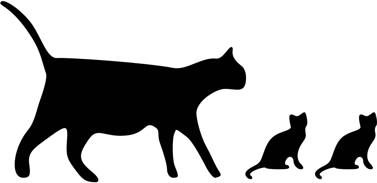 Cats Silhouette Black - Cat Icon (1280x640), Png Download