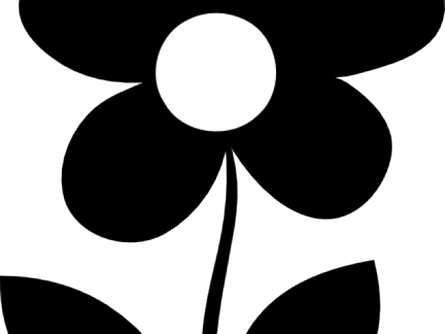 Flower (640x480), Png Download