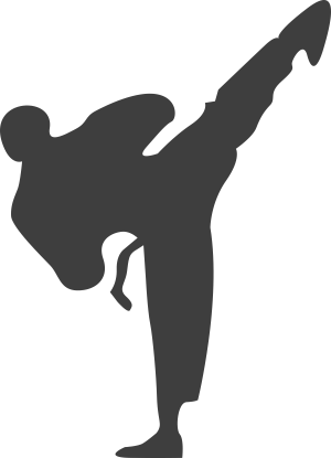 Martial Arts Clipart Korean - Taekwondo Black And White (300x415), Png Download