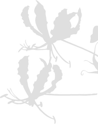 Japan Flowers And Plants Export Association Hibiya-trading - Illustration (340x430), Png Download