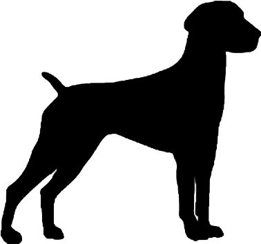 German Shorthaired Pointer Silhouette Decal - German Shorthaired Pointer Silhouette (500x500), Png Download