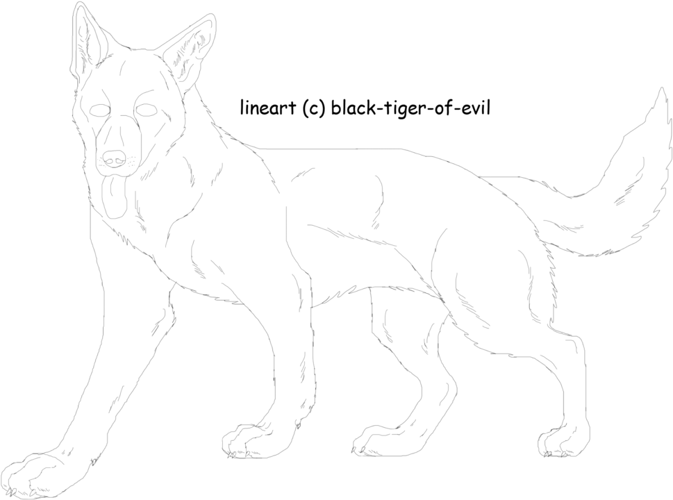 German Shepherd Lineart By Black Tiger Of Evil - Line Art (1024x740), Png Download