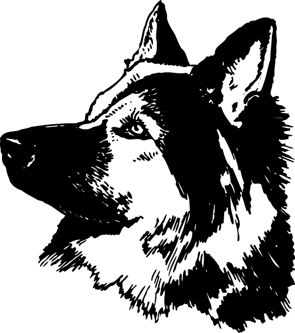 German Shepherd Sticker Graphic Decal (600x678), Png Download