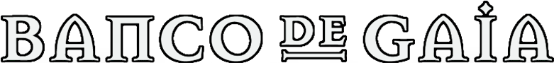 Logo Image - Calligraphy (800x310), Png Download