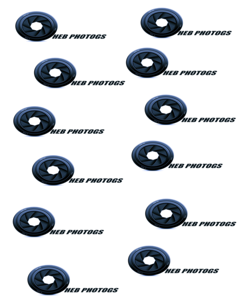 Heb Logo - Circle (480x600), Png Download
