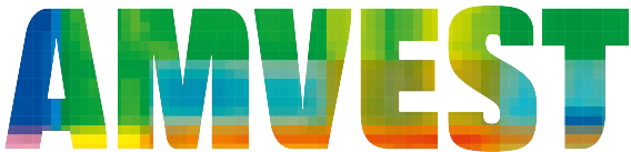 Castrol Logo Png Download - Amvest (880x660), Png Download