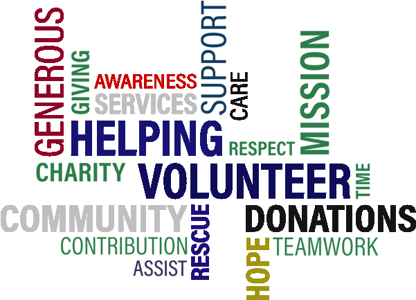 Volunteer - Download (600x471), Png Download