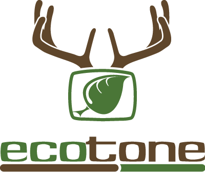 Ecotone (400x335), Png Download