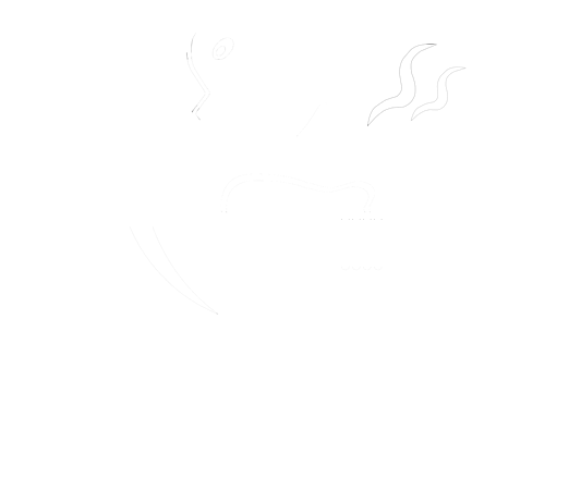 Logo - Duck Soup (600x503), Png Download