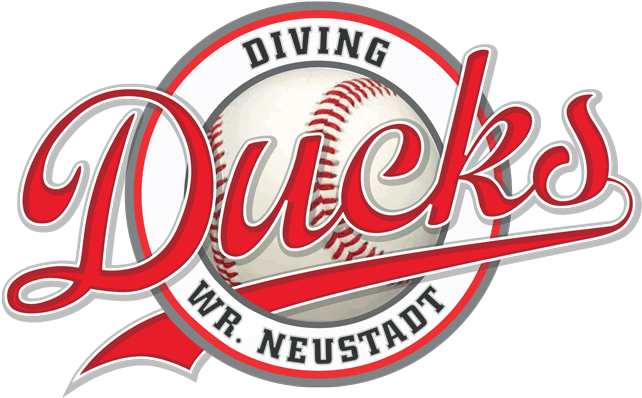 Download Ducks Logo Rund Baseball Picture Circle Slap Stickz Premium Sticker Png Image With No Background Pngkey Com