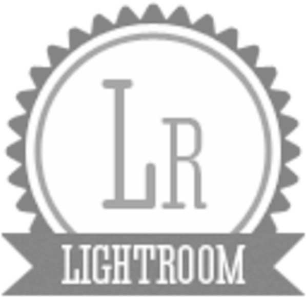 B Lightroom Icon Image - Lowell High School Sf Logo (600x600), Png Download