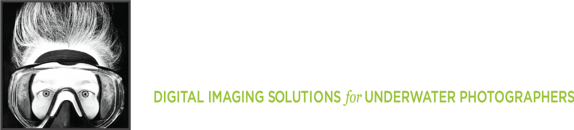 Logo (1145x260), Png Download