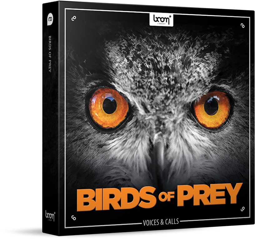 Birds Of Prey Sound Effects Library Product Box - Sound Ideas Birds Of Prey - Sound Effects Library Electronic (1000x900), Png Download