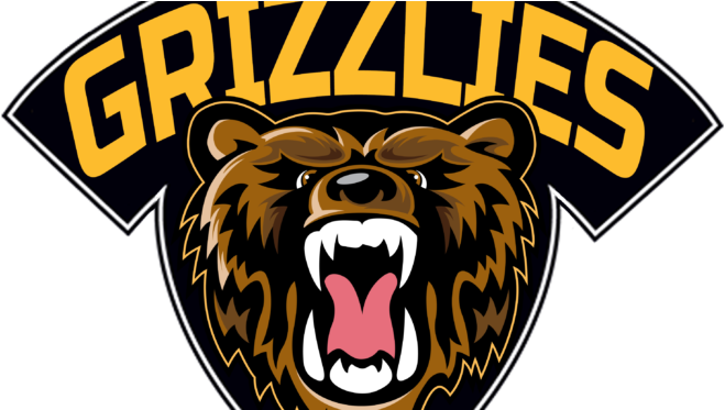 Bruins Purchase Na3hl Franchise In Rochester - Rochester Grizzlies (672x372), Png Download