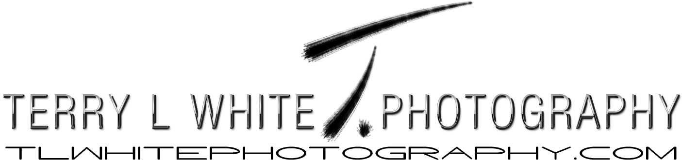 White Photography - Photography (1446x348), Png Download