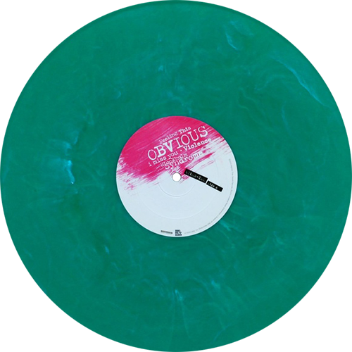 Blink 182 - Phonograph Record (500x500), Png Download