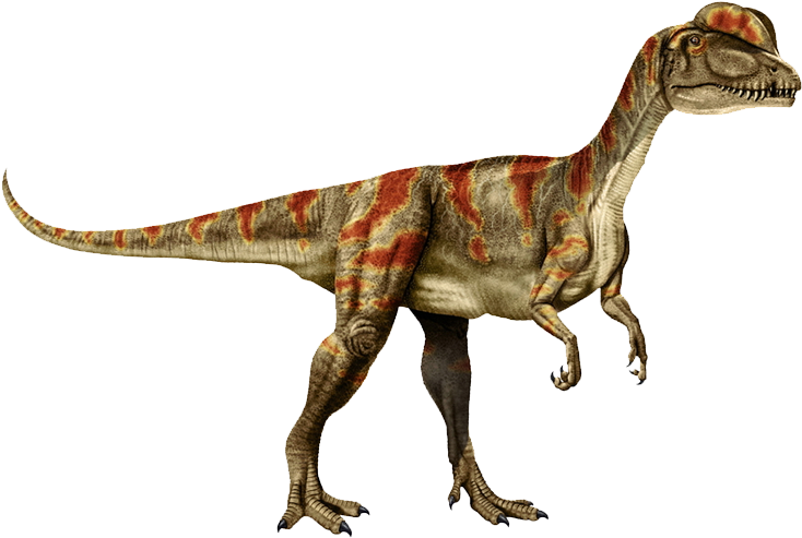 Dilophosaurus Was The Very First Large Carnivorous - Ultimate Guide Dinosaur [book] (800x579), Png Download