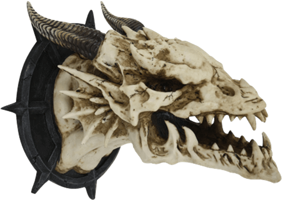 Horned Dragon Skull Wall Plaque - Dragon Skull Wall (555x555), Png Download