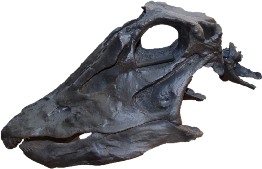 Dinosaur Body Bits Tuesday 10th April - Statue (600x400), Png Download