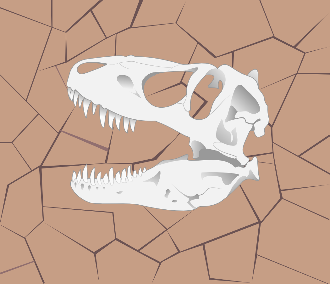 This One Is Less A Show Of My Drawing Skills And More - Dinosaur Skulls (1050x902), Png Download