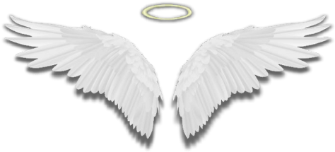 Wings Angelwings Halo White Feathers - White Feather (511x240), Png Download