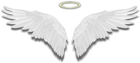 pix Halo Transparent Background Halo Angel Wings Png download wings angelwings halo white