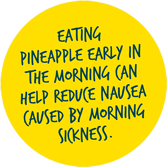 Pineapple Pop1 350 - Hunting The Man In The Moon [book] (350x350), Png Download