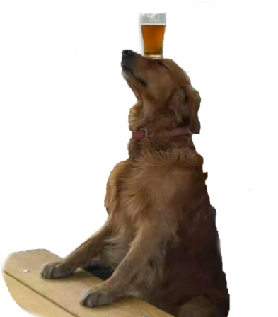 A Very Good Boy Transparent Ur Blog Png Doge Dog Tumblr - Dog Transparents (500x455), Png Download