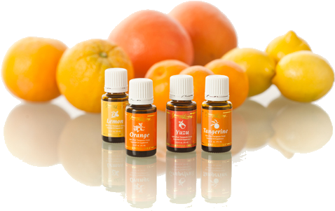 Therapeutic Grade Essential Oils - Essential Oils In Ningxia Red (500x500), Png Download