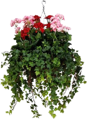 Hanging Baskets, Container Gardening, Artificial Flowers, - Flower Hanging Baskets Png (361x496), Png Download